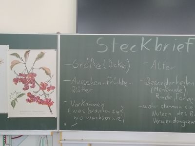 Was_blueht_Tafel.jpg