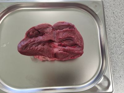 Anatomie_Herz.jpg