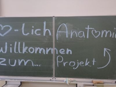 Anatomi_Tafel.jpg