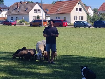 Marco_Huetehunde.jpg